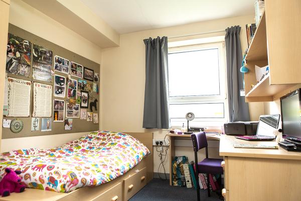 A band 3 ensuite bedroom in Alcuin College. Example room layout. Actual layout and furnishings may vary. 